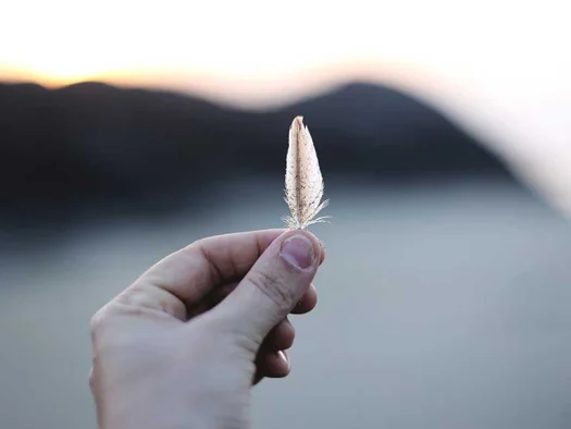 A close-up of a hand holding a small feather
